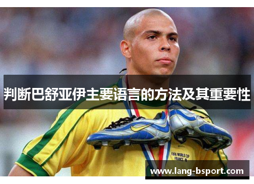 判断巴舒亚伊主要语言的方法及其重要性