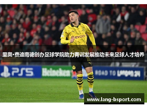 里奥·费迪南德创办足球学院助力青训发展推动未来足球人才培养